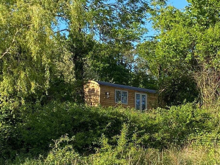 Drakes Mead Retreat - Shepherd'S Hut Axminster Exterior foto